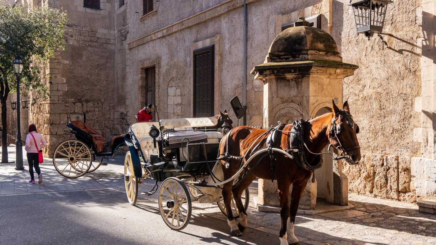 Touren mit Pferdekutschen sind eine beliebte Attraktion in Palma de Mallorca - in Zukunft wird sie aber abgeschafft. Touren mit Pferdekutschen sind eine beliebte Attraktion in Palma de Mallorca - in Zukunft wird sie aber abgeschafft.
