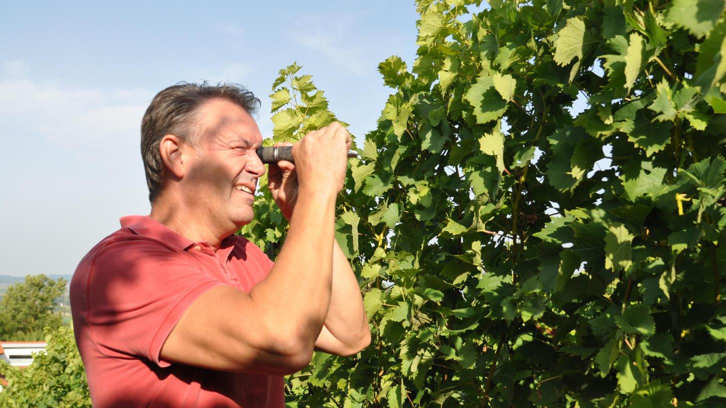 Auch der Winzer Andreas Kurz vom Weingut Schürmer ist von den aktuellen Lieferengpässen betroffen.
Auch der Winzer Andreas Kurz vom Weingut Schürmer ist von den aktuellen Lieferengpässen betroffen.