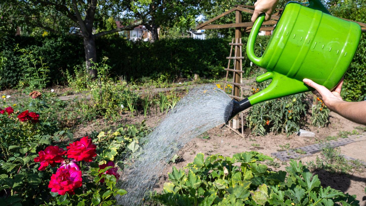 Den Garten gießen? Ja, aber derzeit bitte nur noch mit Regenwasser. Denn das eigene Trinkwasser wird in Thalmässing und Umland zunehmend knapp.
Den Garten gießen? Ja, aber derzeit bitte nur noch mit Regenwasser. Denn das eigene Trinkwasser wird in Thalmässing und Umland zunehmend knapp.