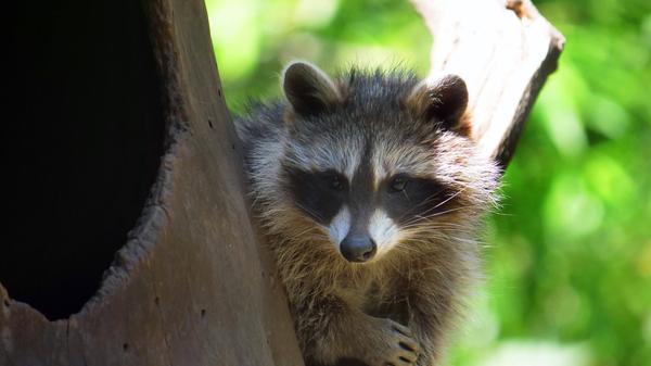 imago images 162579644