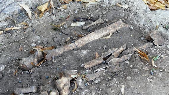 Sieben Skelette bei Grabungen gefunden: Darum braucht die örtliche Feuerwehr jetzt Geduld