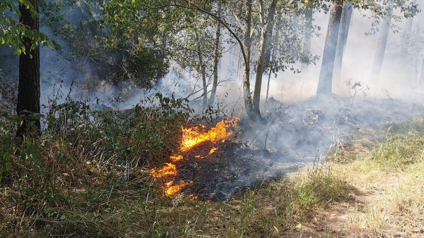 Die Gefahr eines Waldbrandes war und ist groß, in einem Waldstück bei Milmersdorf (Gemeinde Sachsen bei Ansbach) im Landkreis Ansbach standen Bäume in Flammen.