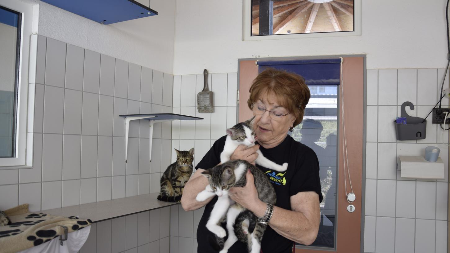 Tierpflegerin Ursula Wening mit den beiden Kitten Flip und Filou, die in Feucht in einem Karton am Straßenrand ausgesetzt wurden. Tierpflegerin Ursula Wening mit den beiden Kitten Flip und Filou, die in Feucht in einem Karton am Straßenrand ausgesetzt wurden.