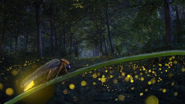 imago images 103178905