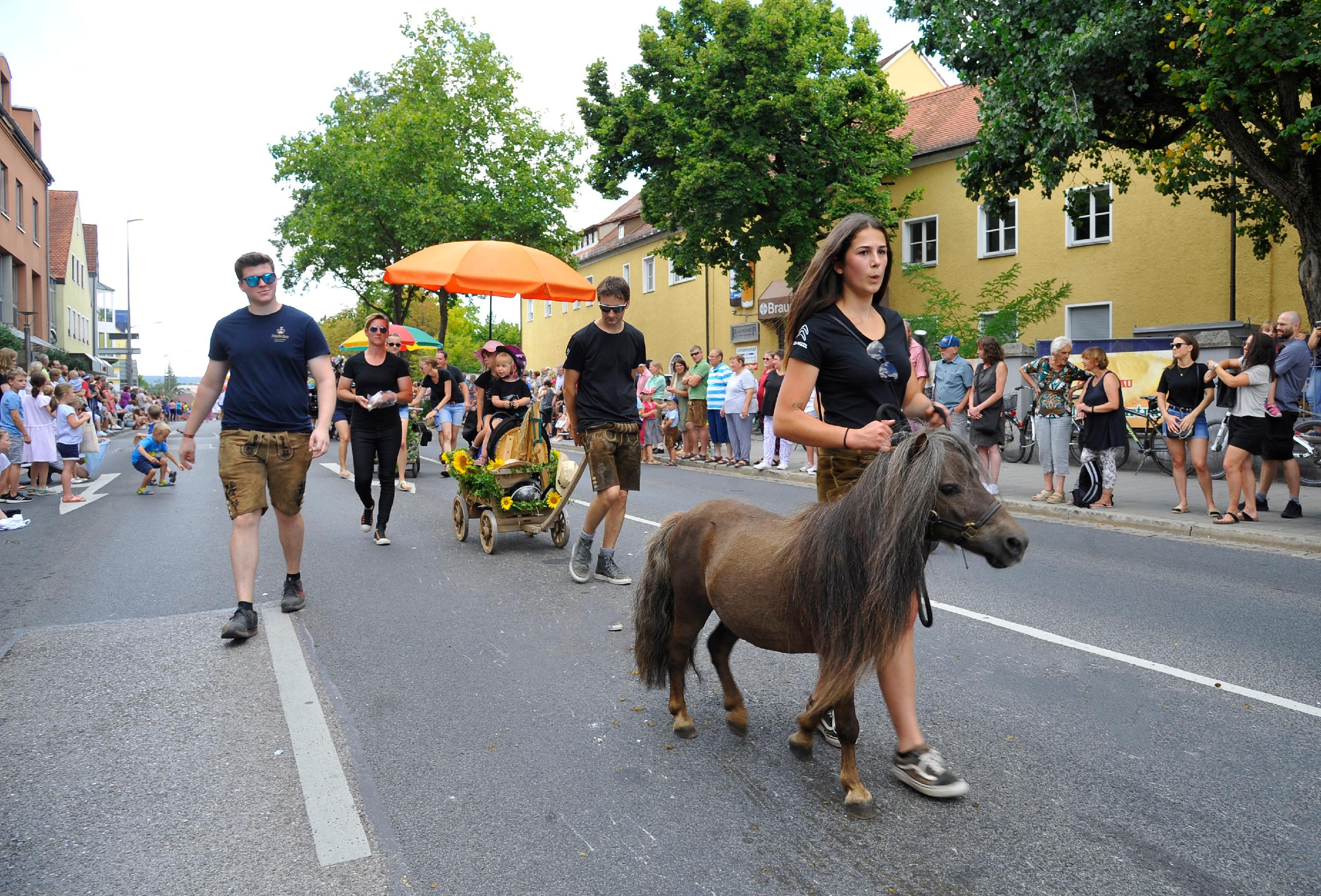 Alle lieben das Minipony.