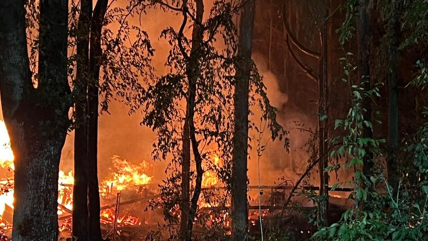 Flammeninferno in Forchheim: Feuerwehr verhindert Waldbrand - Tiere sterben