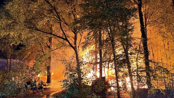 Flammeninferno in Forchheim: Feuerwehr verhindert Waldbrand - Tiere sterben