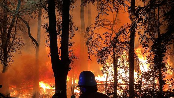 Flammenmeer bei Kersbach: Waldbrand verhindert, Tiere konnten nicht gerettet werden
