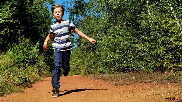 Der Boden ist hier ganz rot, weil so viel Eisenoxid darin liegt.