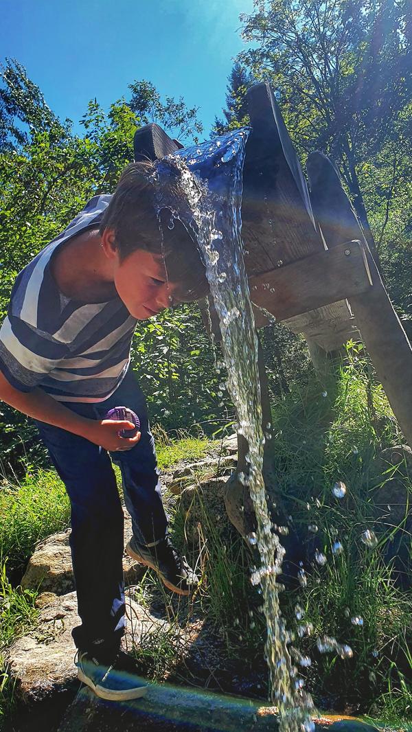 Am Themenweg des Woid Woife liegt eine Kneipp-Anlage zur Abkühlung.