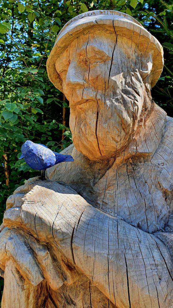 Der Woid Woife heißt eigentlich Wolfgang. Er hat sich jahrelang in einem Bauwagen im Wald auf die Lauer gelegt und Vögel beobachtet. Nun erzählt er allen Interessierten morgens um 7 auf seinem nach ihm benannten Weg Wissenswertes über die Natur seiner Heimat.