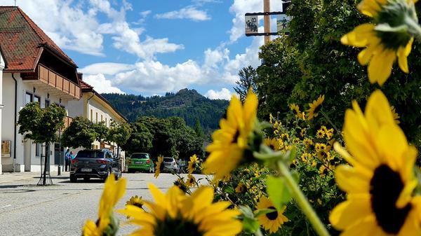 Hier geht es viel beschaulicher zu.