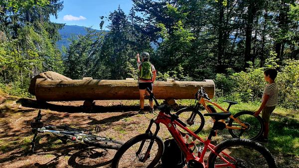 Am Bodenmaiser Hof startet auch unsere E-Bike-Tour via Böbrach. Hier der Blick zum Großen Arber.