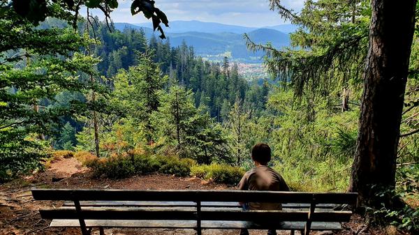 Aussicht von der Schweiklruh auf Bodenmais und ins Arberland.