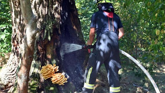 Schon wieder Brandstiftung? Erlanger Feuerwehr verhindert gerade noch „richtigen“ Waldbrand
