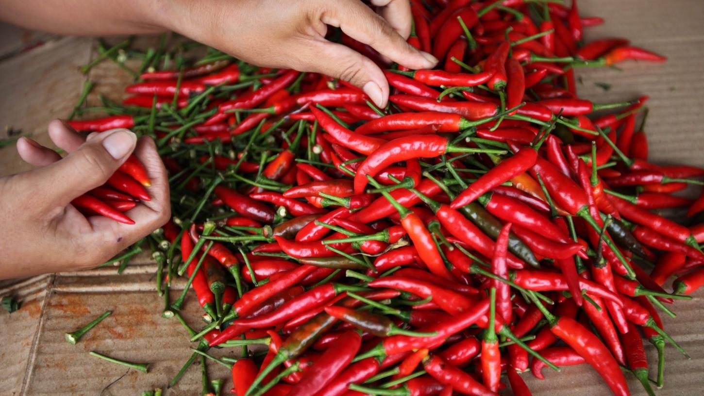 Schärfe kann auch süchtig machen. Chili, oder besser gesagt, der Schmerz, den es im Nerv auslöst, fördert den Ausstoß von Glückshormonen. Schärfe kann auch süchtig machen. Chili, oder besser gesagt, der Schmerz, den es im Nerv auslöst, fördert den Ausstoß von Glückshormonen.