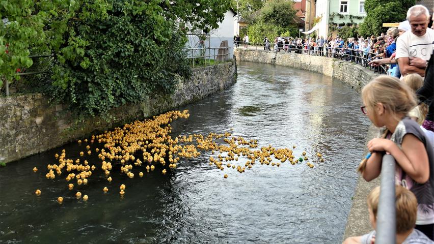 Die Enten rennen wieder in Happurg Die Enten rennen wieder in Happurg
