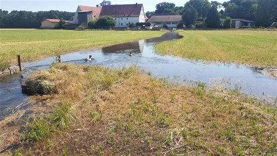 Die überfluteten Wiesen im Rednitzgrund: Eine Kulturtechnik, die dem Stadtklima hilft