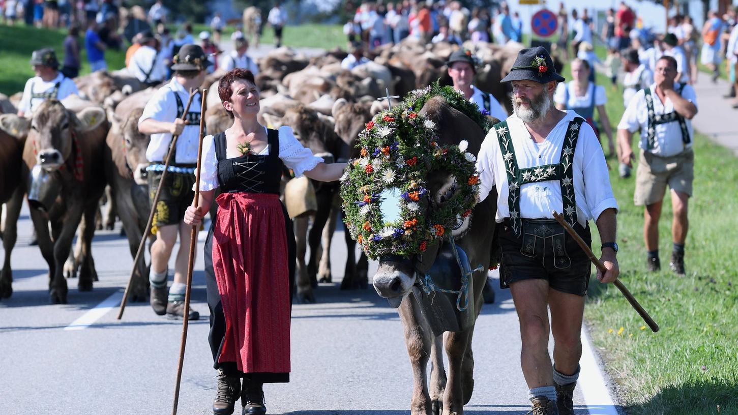 Der Viehscheid war jahrelang Tradition in Maierhöfen, wie auch das Bild aus dem Jahre 2016 zeigt. Damit ist nun Schluss.
