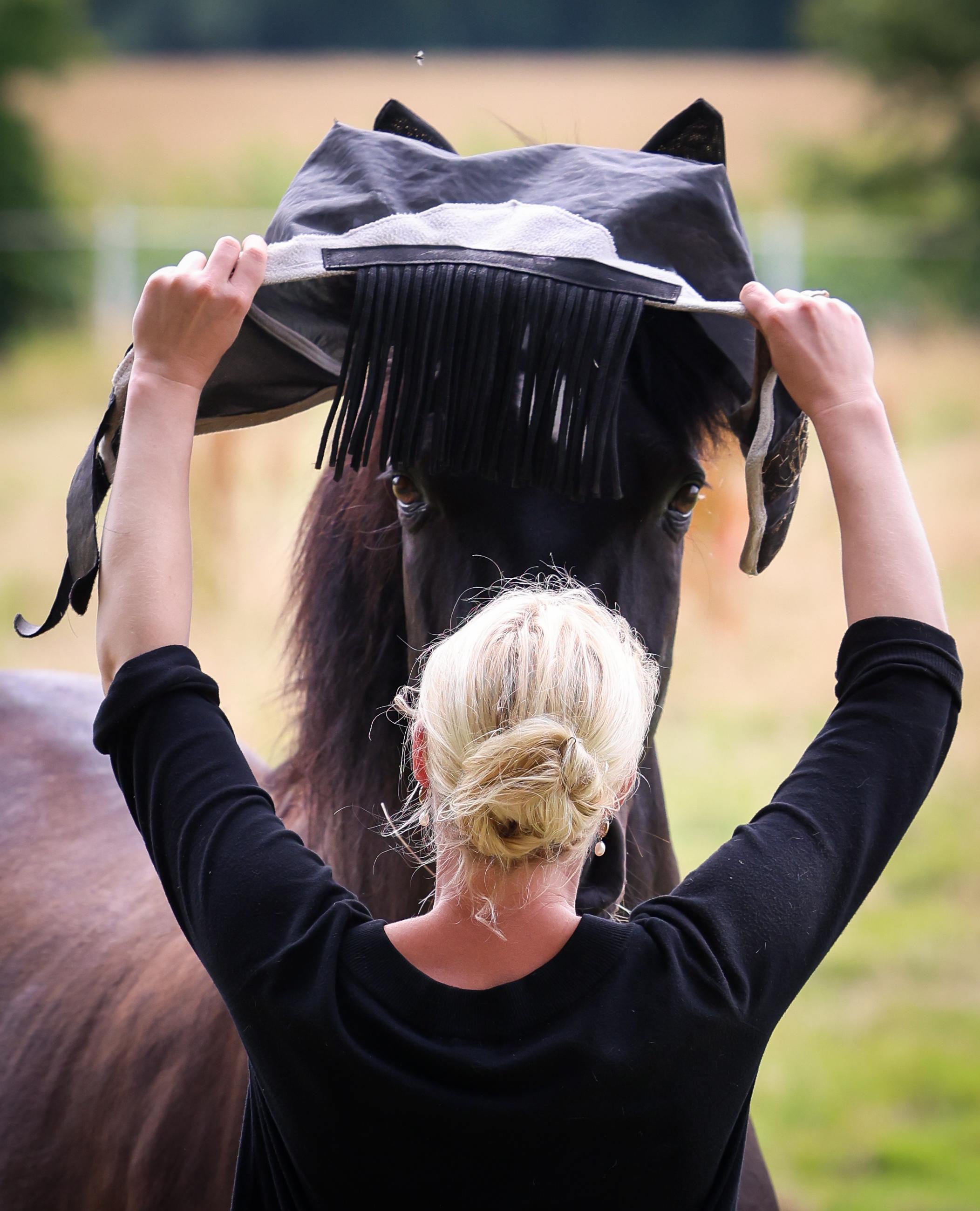 Frau Stirbt Nach Geschlecht Mit Pferd
