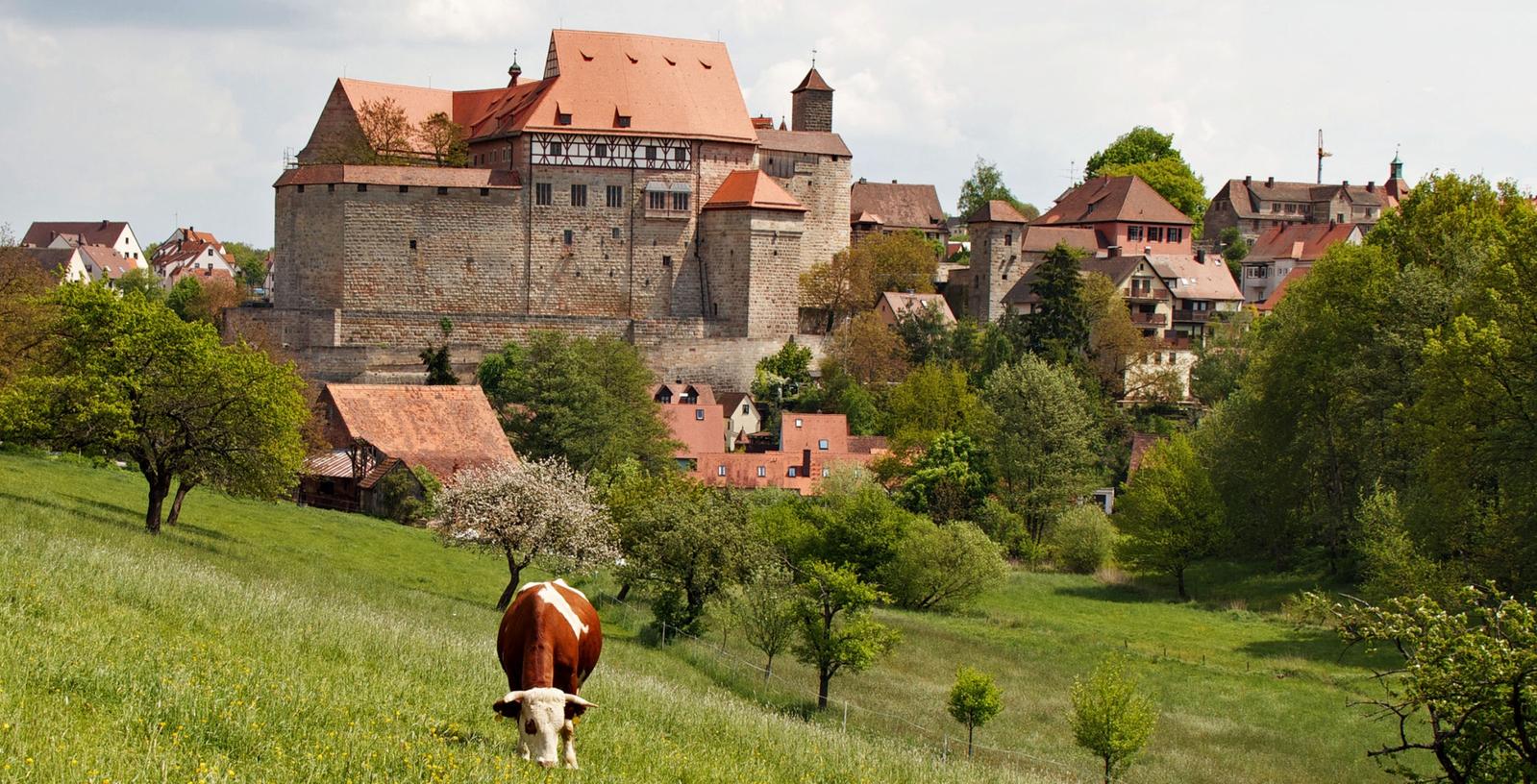 Geht es nach Markus Söder soll die Cadolzburg bis 2016 "auf gleicher Augenhöhe wie die Nürnberger Kaiserburg" stehen.