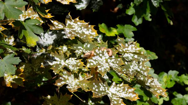 imago images 141588085