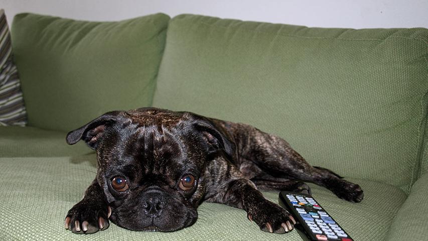 Nach getaner Orakel-Arbeit chillt Otto gerne auf seiner grünen Couch und schaut Fußball oder die Sendung mit der Maus. Die Fernbedienung gibt er jedenfalls nicht ab!