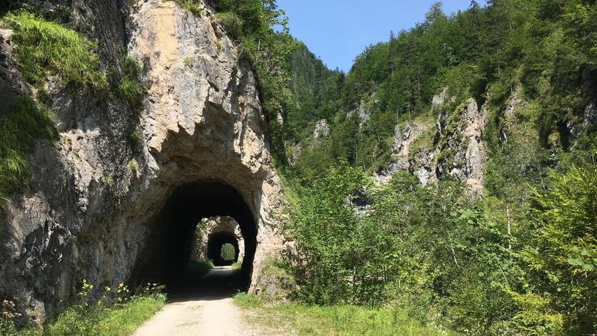 Ein Teil der Nationalparkstrecke geht an einer ehemaligen Waldbahntrasse entlang - und durch ihre Tunnel. Mithilfe der Bahn wurden früher vom Borkenkäfer befallene Bäume aus dem Gebiet geschafft.