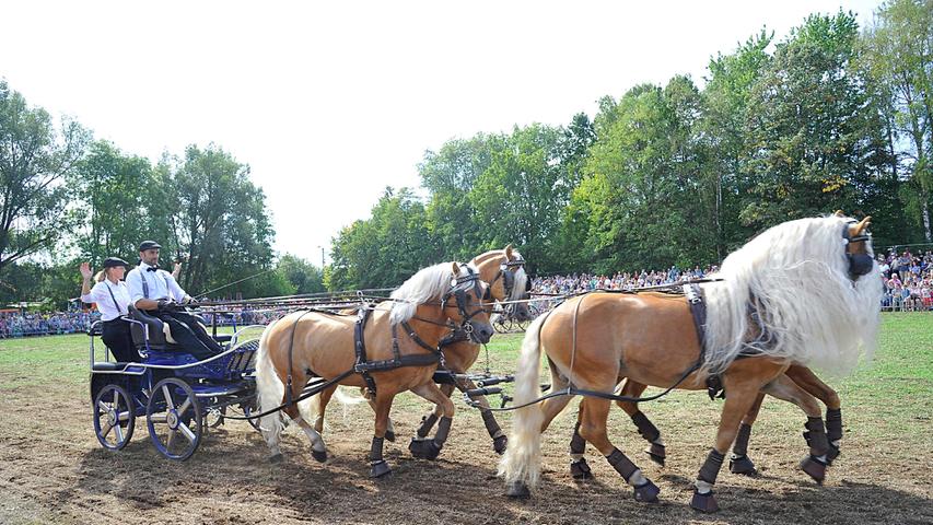 Das Wetter war ebenso prächtig wie die herausgeputzten Pferde, die bei der großen Pferde- und Fohlenschau auf dem Neumarkter Juravolksfest präsentiert wurden.
