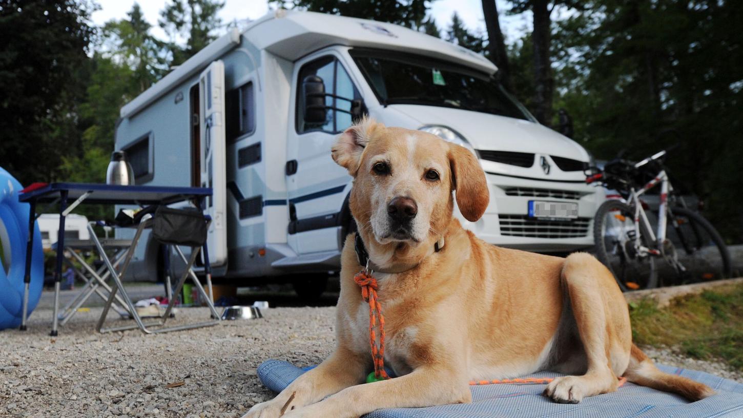 Campen mit Hund verspricht mehr Freiheit als gemeinsamer Urlaub im Hotelzimmer. Doch auch hier kann oft nicht auf die Leine verzichtet werden. Campen mit Hund verspricht mehr Freiheit als gemeinsamer Urlaub im Hotelzimmer. Doch auch hier kann oft nicht auf die Leine verzichtet werden.