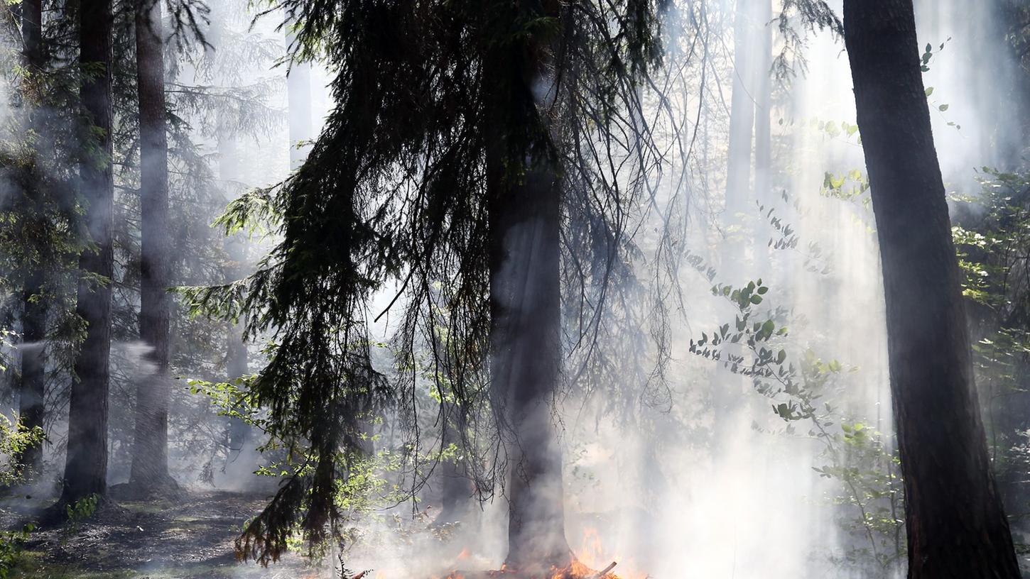 Am Osterwochenende brannte es gleich zwei Mal in einem Waldstück im Landkreis Bamberg. (Symbolbild)
