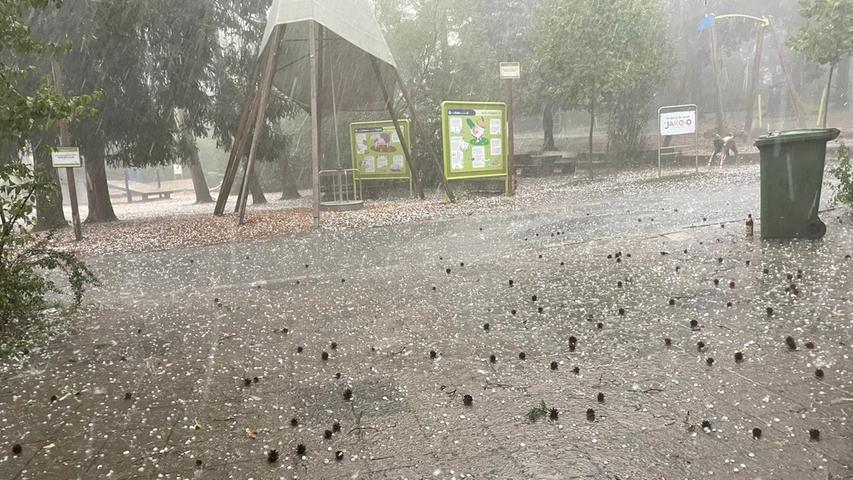 Auch im Nürnberger Tiergarten tobte das Unwetter. Überrascht von Regen und zentimeterdicken Hagelkörnern versuchten sich die Zoo-Besucher schnell in die Tierhäuser zu retten.