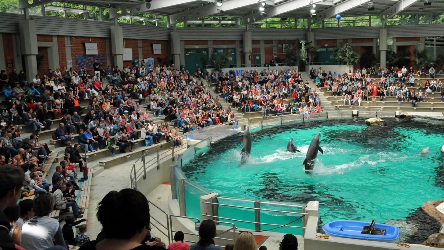 Im Duisburger Delfinarium schwammen während der Protestaktion acht Tümmler.