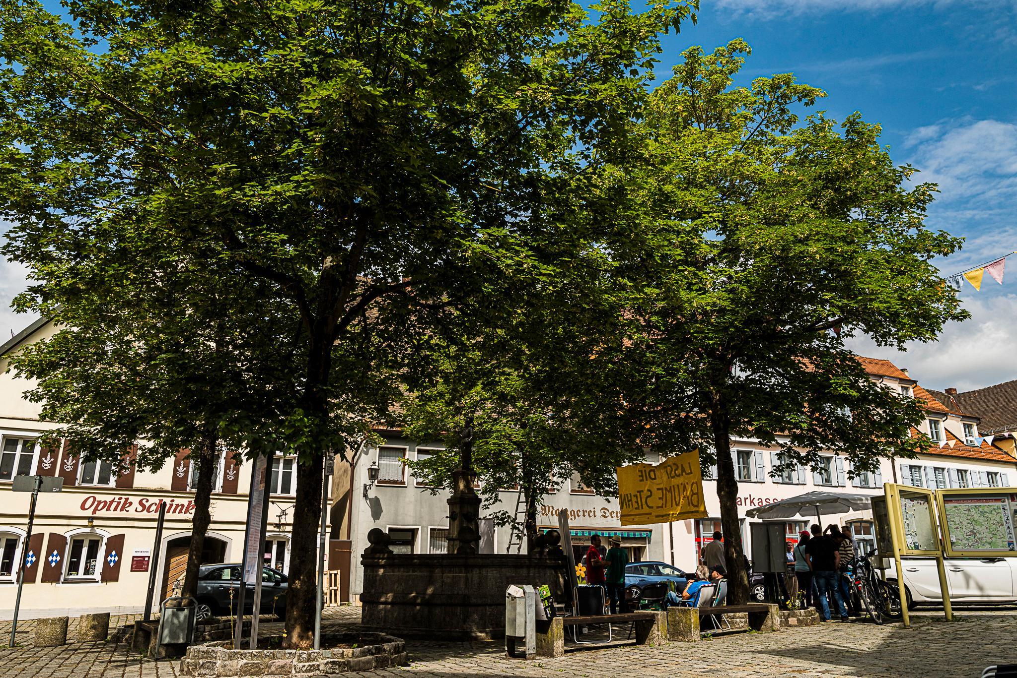 Marktplatzkonzept in Gräfenberg Bleiben die Bäume?