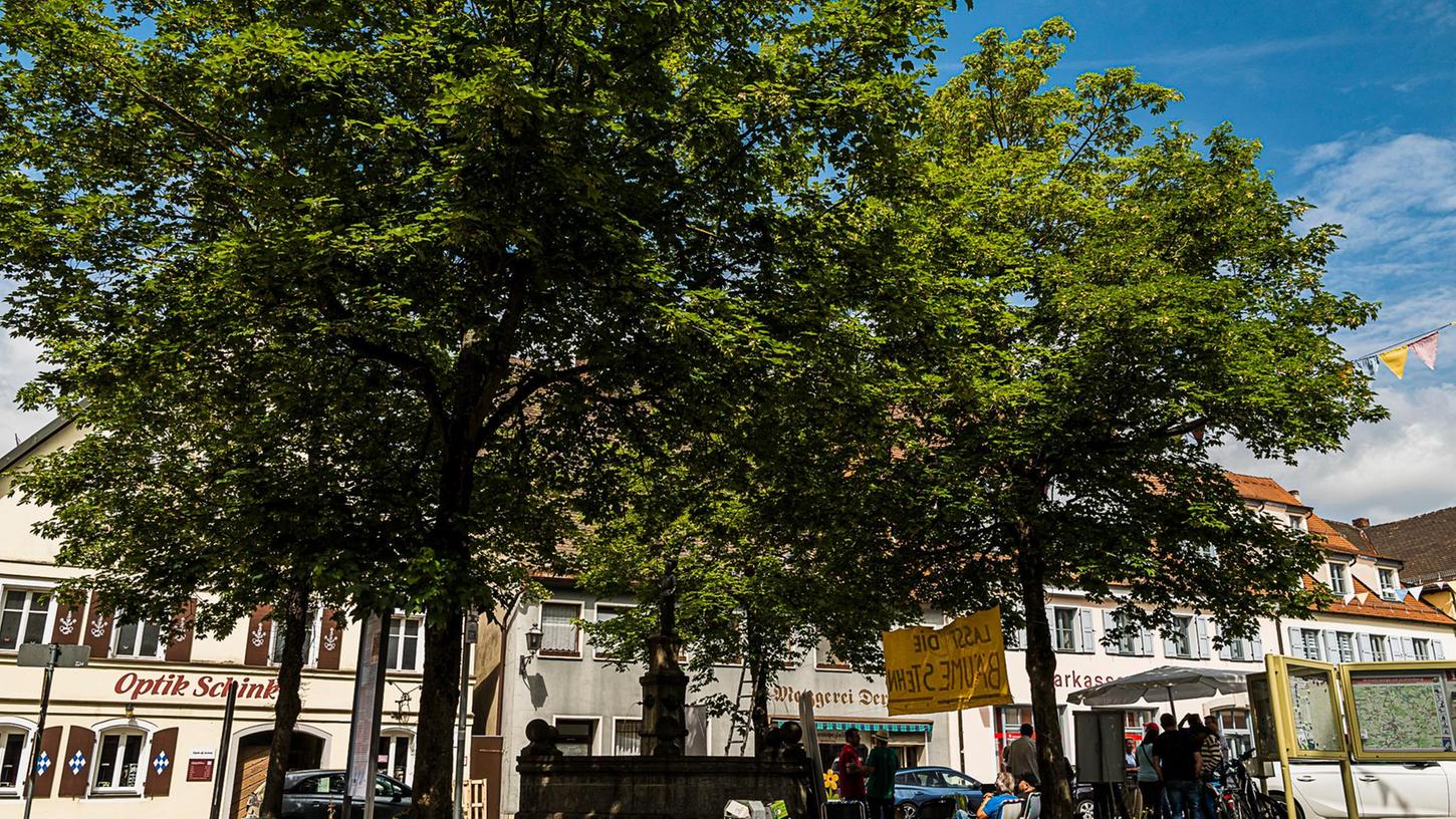 Marktplatzkonzept in Gräfenberg Bleiben die Bäume?