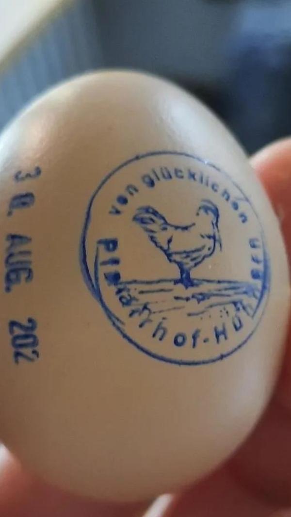 Im Sebalder Pfarrhof waren und sind die Hühner fleißig.