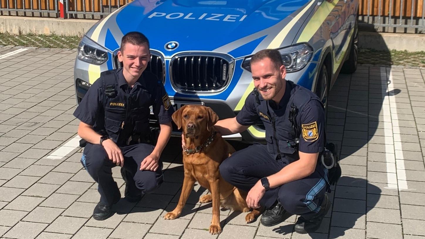Hund Leo wurde zur Polizeiinspektion Neutraubling gebracht.