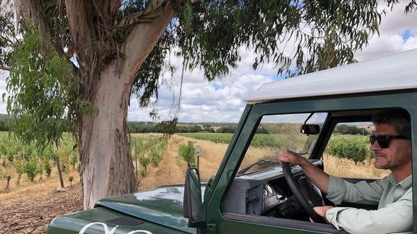 Bei Ihrem Roadtrip durch das Alentejo werden Sie den vielen Wein nicht übersehen. Sehr viel davon hat die Plantage Herdade Coelheiros. Unglaubliche 800 Hektar groß ist sie und lässt sich daher nur mit dem Jeep erkunden. Hier wachsen auch Walnüsse, doch auch die Bäume, die es für die Weinflasche braucht, werden hier angebaut.