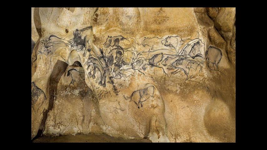 Eines der berühmtesten Motive in der Chauvet-Höhle sind die jagenden Löwen und die Bisons.