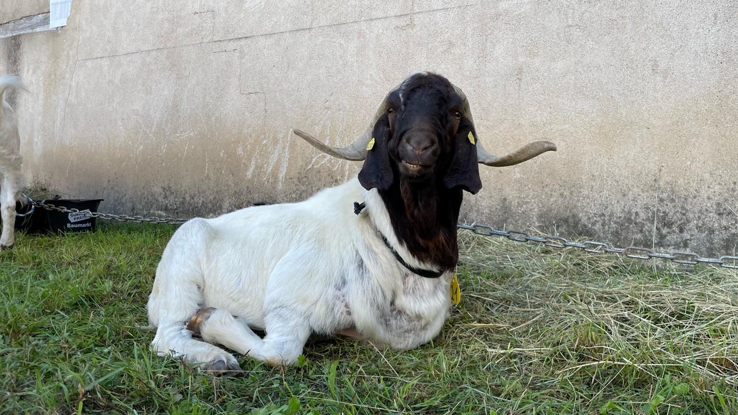 Sie ließen sich bereitwillig fotografieren... 