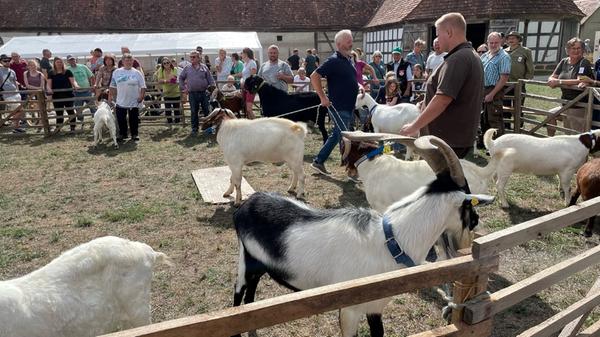 Für den Verwaltungschef des Freilandmuseums, Reinhold Werner, war es am Sonntag "ein toller Tag bei wunderschönem Wetter".