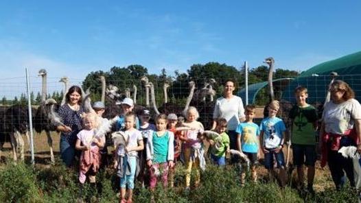 Ferienprogramm Mühlhausen: Zu Gast im „Straußenkindergarten“
