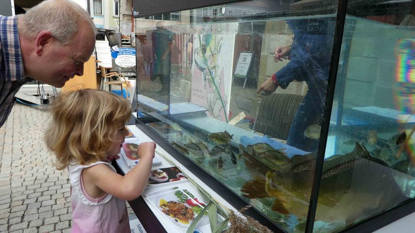 Vor allem für die Kinder hatte das Aquarium magische Anziehungskraft ...