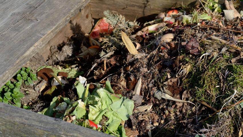 Im Oktober fällt viel Kompost an. Grobe Pflanzenreste, aber auch Laub, sollten gehäckselt werden. Wichtig ist die Schichtung: nasse Abfälle (Obst- und Küchenreste oder Rasenschnitt) sollten sich mit trockenen Abfällen (Laub und kleine Ästen) immer abwechseln.