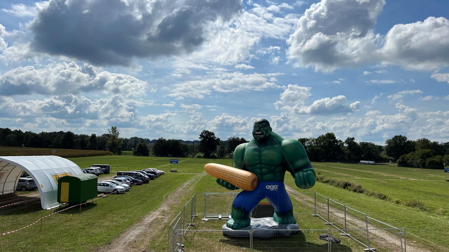 Die "Hulk"-Figur hat mit ihren beinah acht Metern Höhe ein Gewicht von etwa 100 Kilo. Die "Hulk"-Figur hat mit ihren beinah acht Metern Höhe ein Gewicht von etwa 100 Kilo.