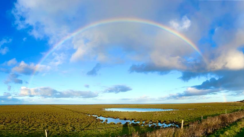 Wenn Sonnenlicht auf Regentropfen trifft, entsteht ein Regenbogen.