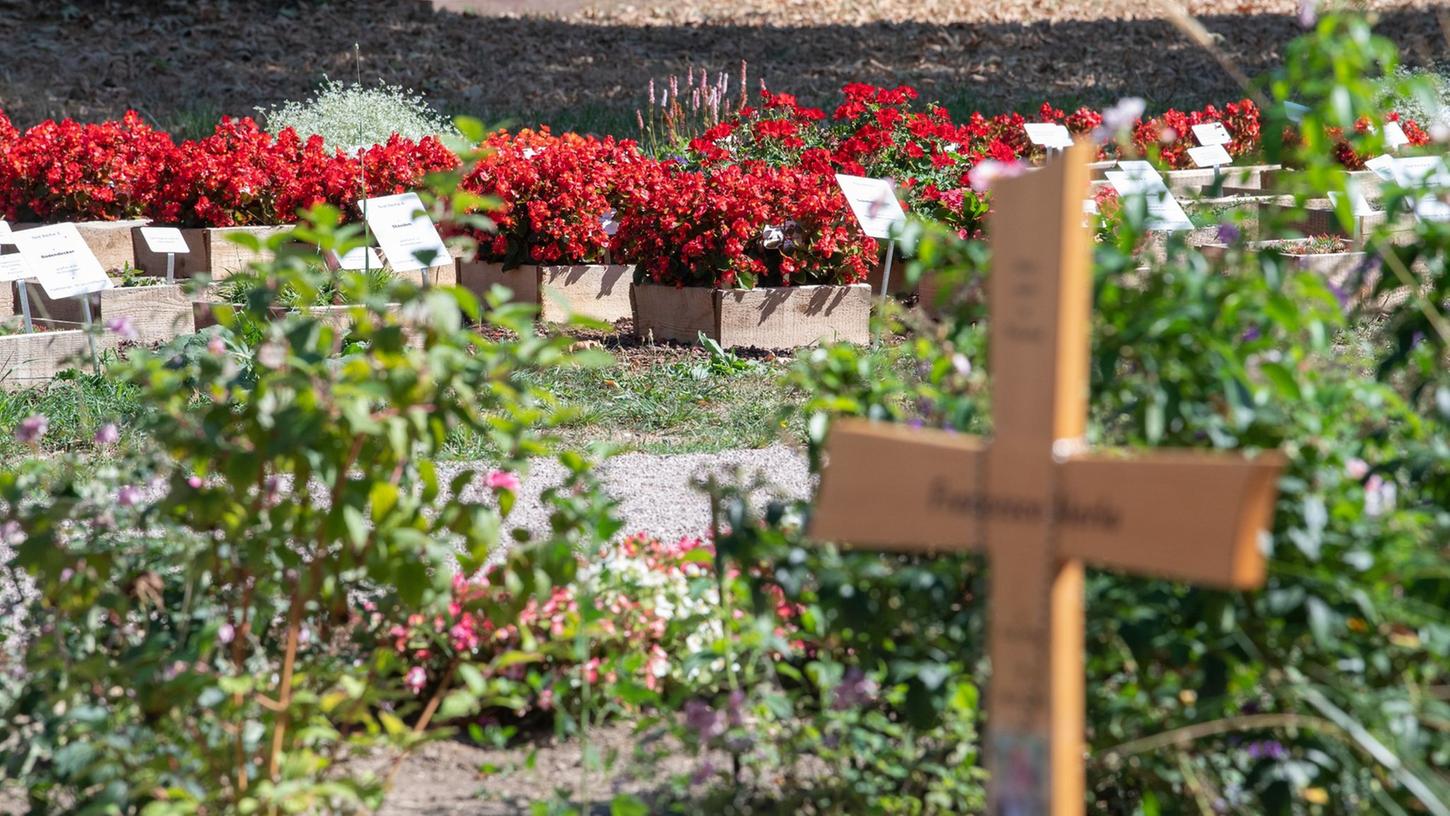 Verschiedene Pflanzen, die unterschiedlich gegossen wurden, stehen auf dem Friedhof im Wiesbadener Stadtteil Biebrich auf einem Experimentierfeld. Verschiedene Pflanzen, die unterschiedlich gegossen wurden, stehen auf dem Friedhof im Wiesbadener Stadtteil Biebrich auf einem Experimentierfeld.
