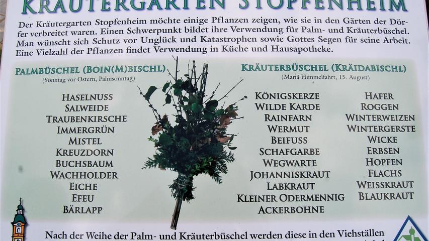  Wertvolle Kräuter kann nur ernten, wer frühzeitig plant und sich zum Beispiel in Kräutergärten oder in Nachbars Garten informiert.