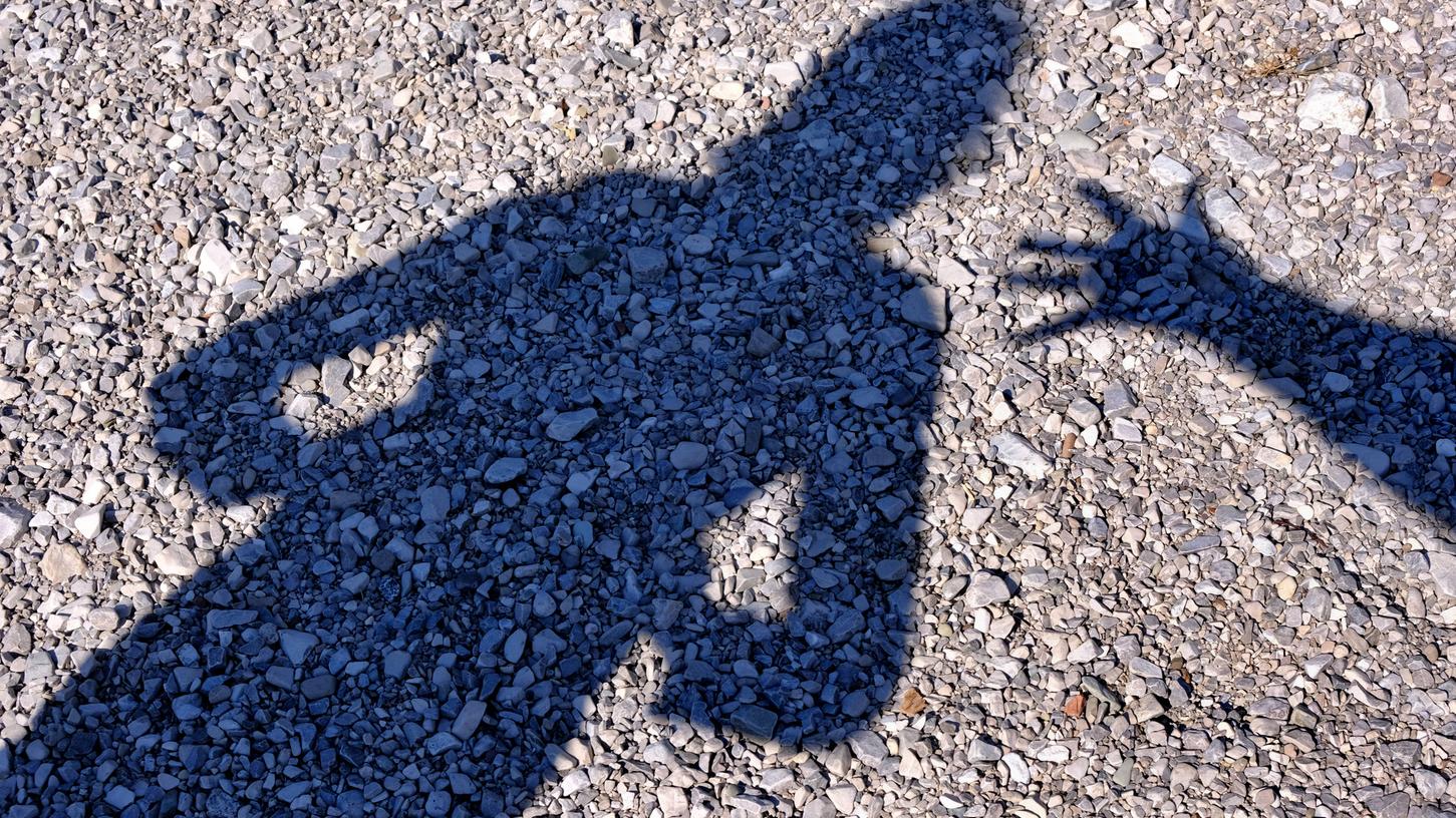 Während Wandertag in fränkischer Schule: 12-Jähriger geht auf Lehrerin los Während Wandertag in fränkischer Schule: 12-Jähriger geht auf Lehrerin los