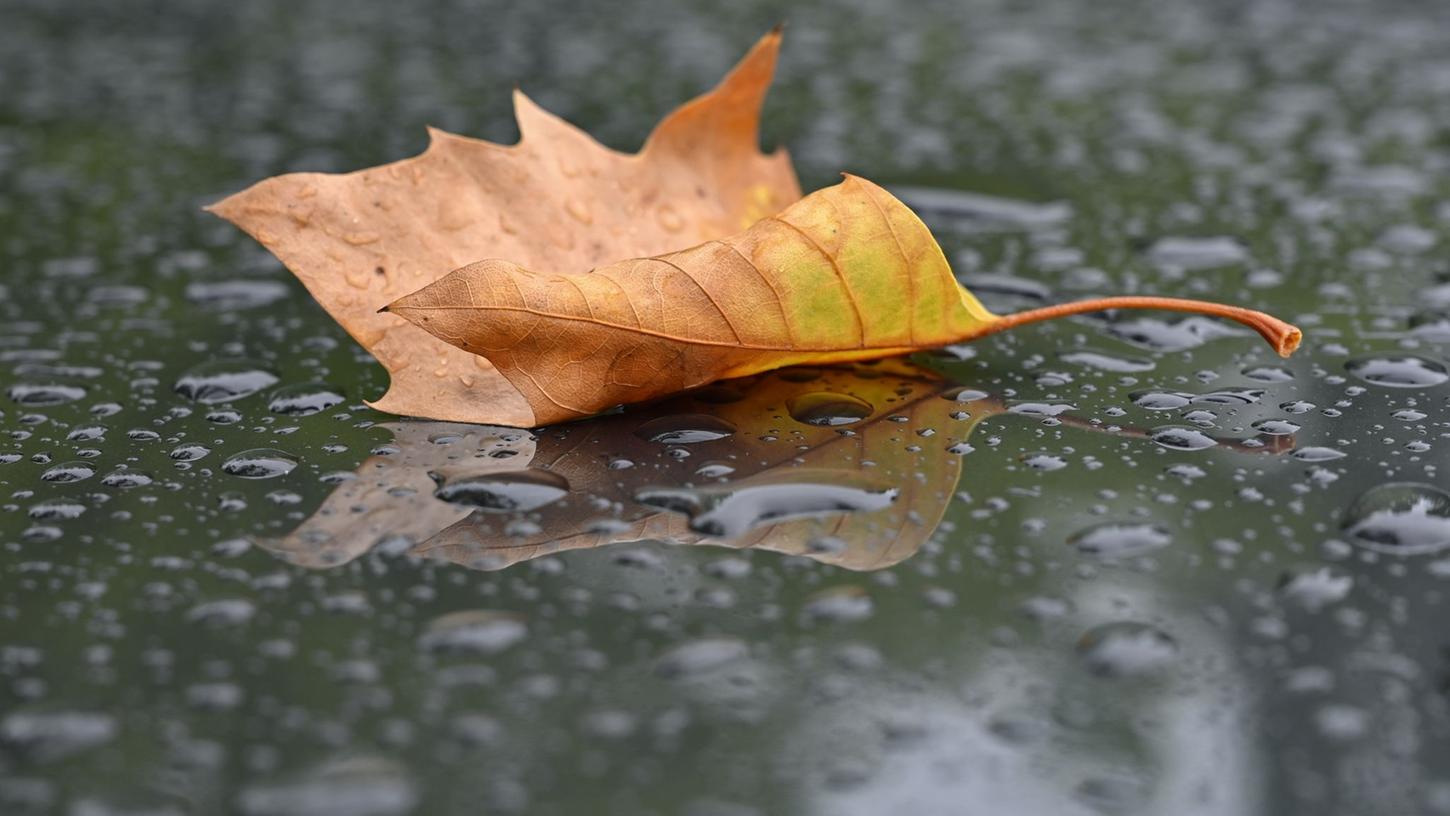 Kurz vor dem kalendarischen Herbstanfang am Wochenende sinken die Temperaturen deutlich. Kurz vor dem kalendarischen Herbstanfang am Wochenende sinken die Temperaturen deutlich.
